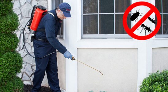 Kocaali Tahtakurusu İlaçlama böcek ilaçlama ve haşere kontrolü — ilaclama-tr.com